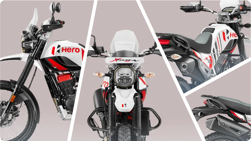 detalles xpulse rally.webp