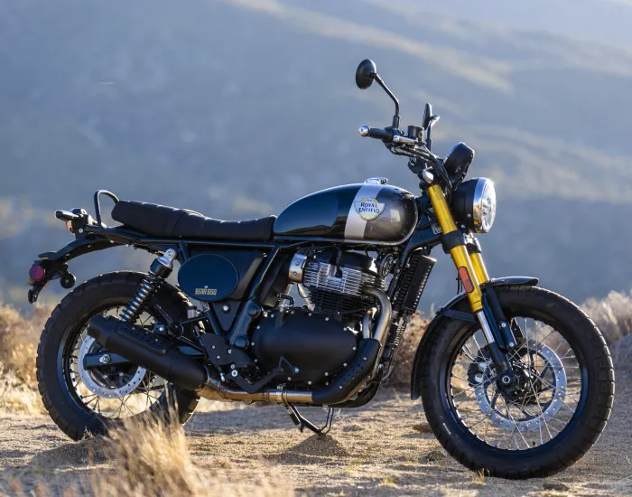 BEAR 650